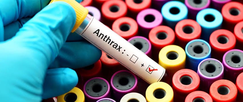 images (1)