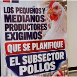 APPROAMOLI alerta sobre crisis de pequeños avicultores y solicitan intervención del presidente Abinader